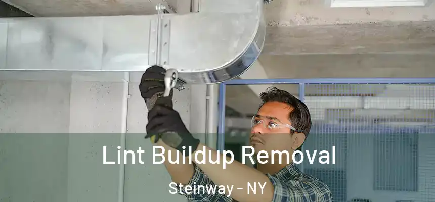 Lint Buildup Removal Steinway - NY