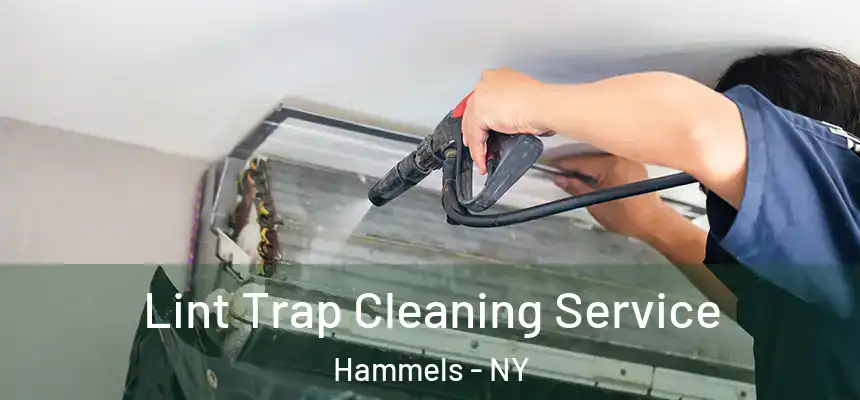  Lint Trap Cleaning Service Hammels - NY