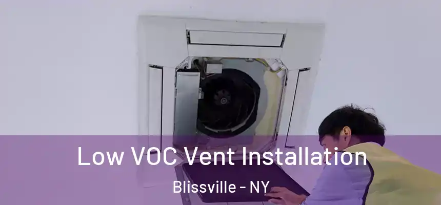  Low VOC Vent Installation Blissville - NY