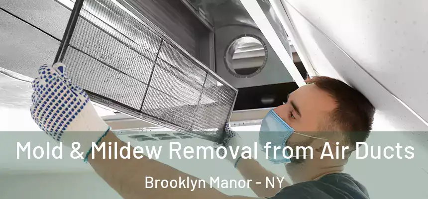  Mold & Mildew Removal from Air Ducts Brooklyn Manor - NY