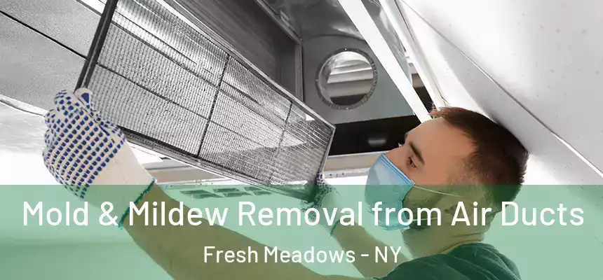 Mold & Mildew Removal from Air Ducts Fresh Meadows - NY