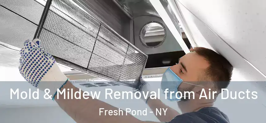 Mold & Mildew Removal from Air Ducts Fresh Pond - NY
