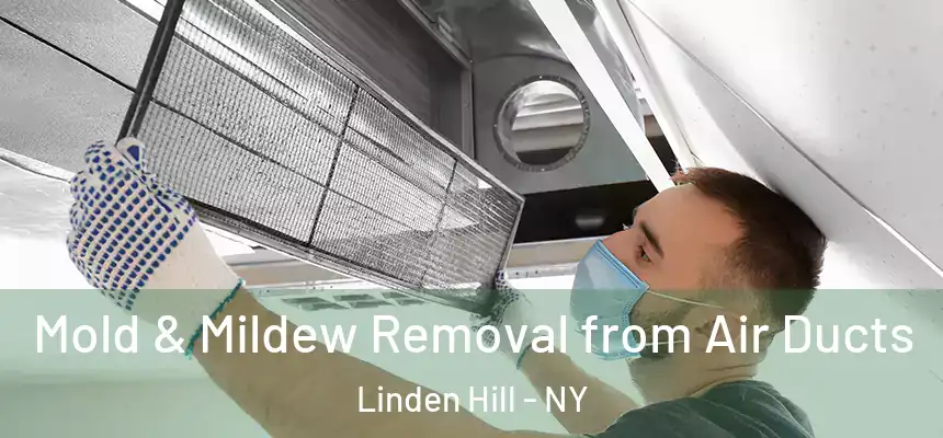  Mold & Mildew Removal from Air Ducts Linden Hill - NY