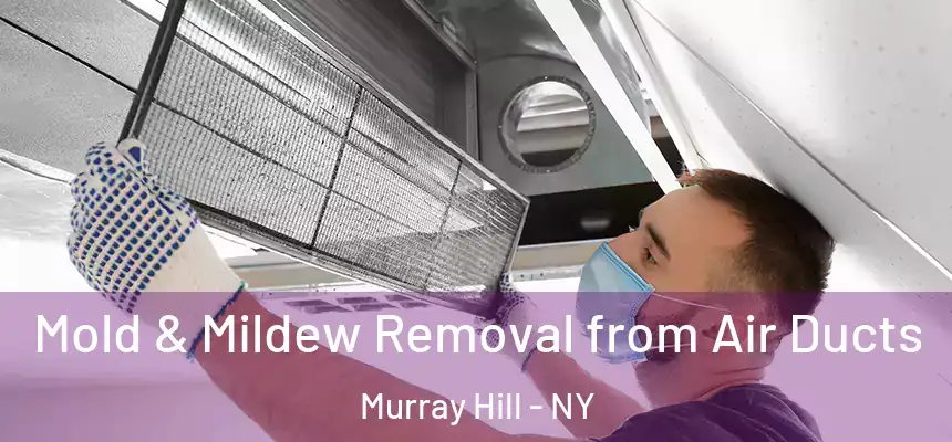  Mold & Mildew Removal from Air Ducts Murray Hill - NY