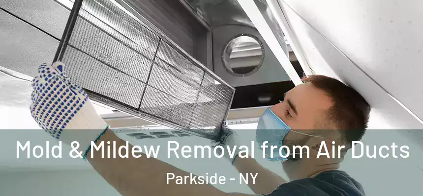 Mold & Mildew Removal from Air Ducts Parkside - NY