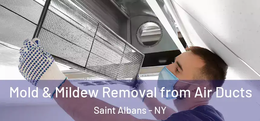  Mold & Mildew Removal from Air Ducts Saint Albans - NY