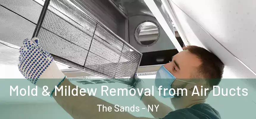  Mold & Mildew Removal from Air Ducts The Sands - NY