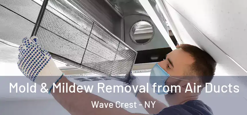  Mold & Mildew Removal from Air Ducts Wave Crest - NY