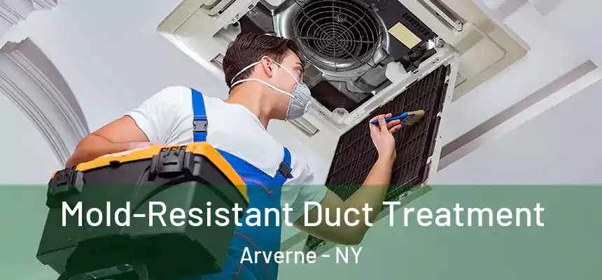  Mold-Resistant Duct Treatment Arverne - NY