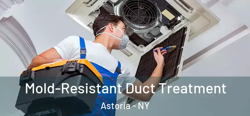  Mold-Resistant Duct Treatment Astoria - NY