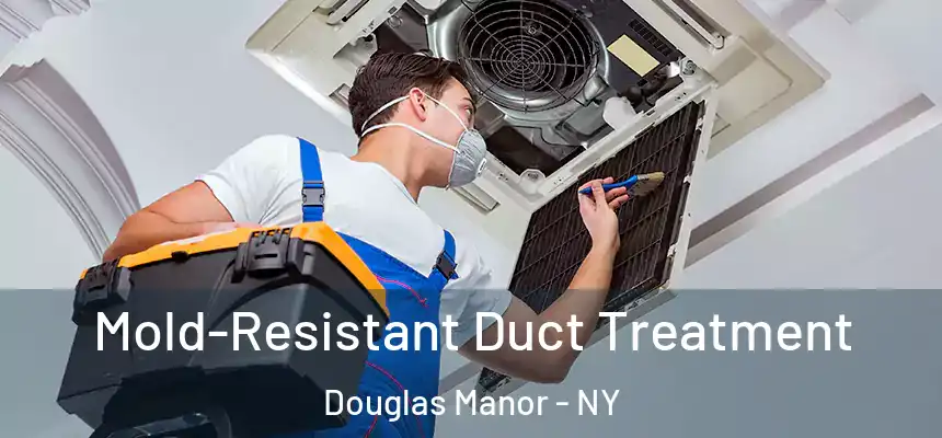 Mold-Resistant Duct Treatment Douglas Manor - NY