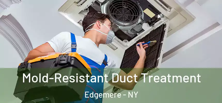  Mold-Resistant Duct Treatment Edgemere - NY