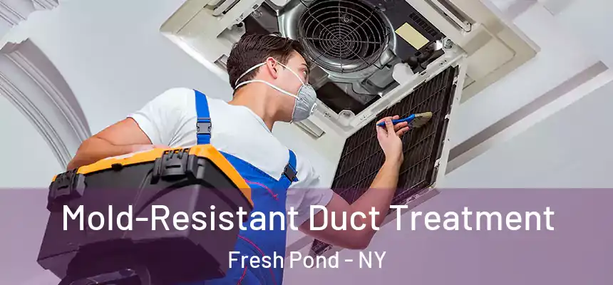  Mold-Resistant Duct Treatment Fresh Pond - NY