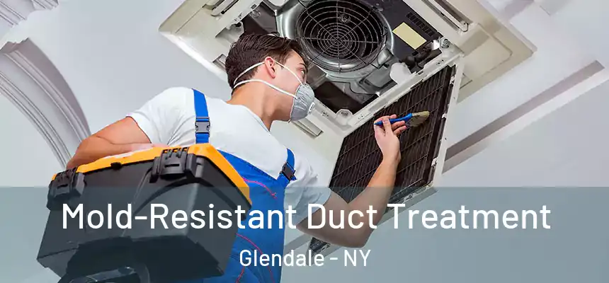  Mold-Resistant Duct Treatment Glendale - NY