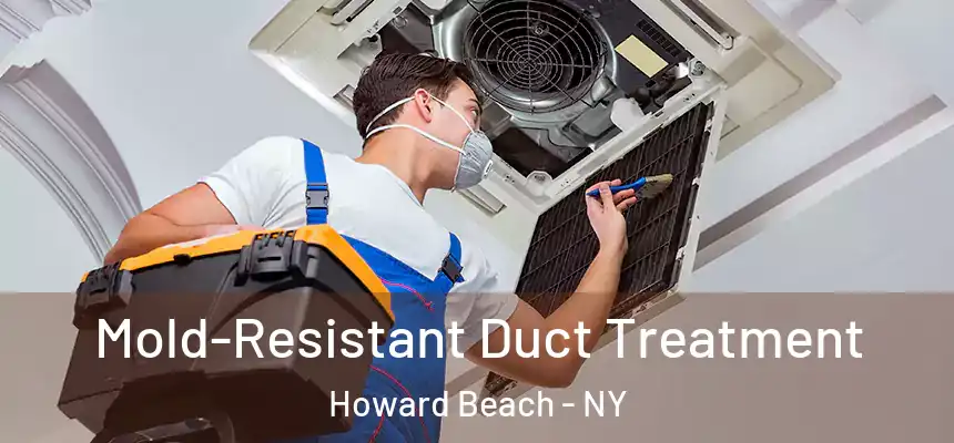  Mold-Resistant Duct Treatment Howard Beach - NY