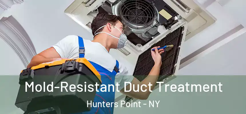  Mold-Resistant Duct Treatment Hunters Point - NY