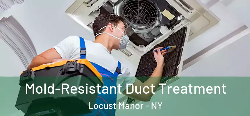 Mold-Resistant Duct Treatment Locust Manor - NY