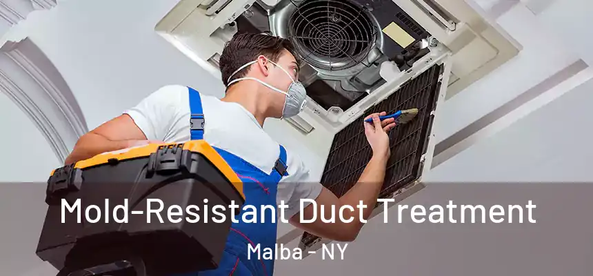  Mold-Resistant Duct Treatment Malba - NY