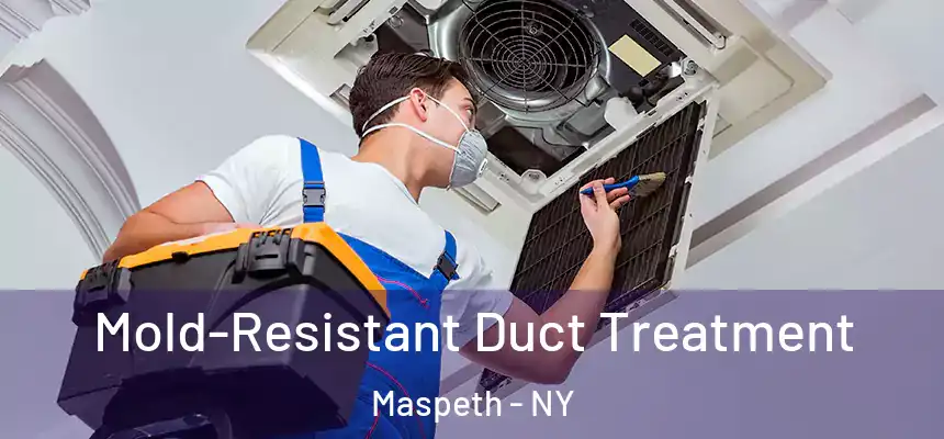  Mold-Resistant Duct Treatment Maspeth - NY