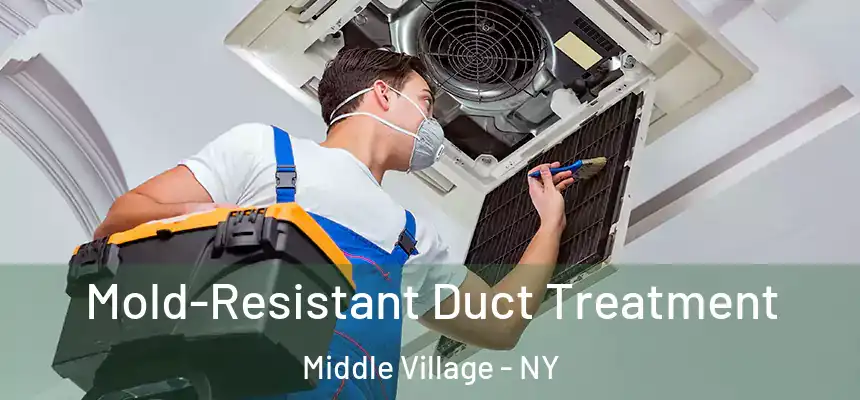 Mold-Resistant Duct Treatment Middle Village - NY