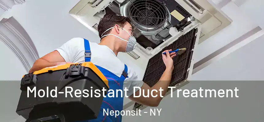  Mold-Resistant Duct Treatment Neponsit - NY