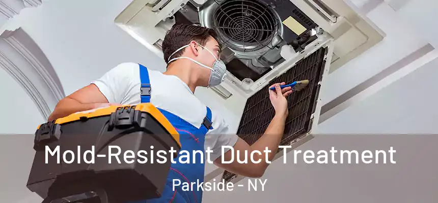  Mold-Resistant Duct Treatment Parkside - NY
