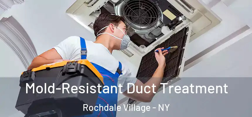  Mold-Resistant Duct Treatment Rochdale Village - NY