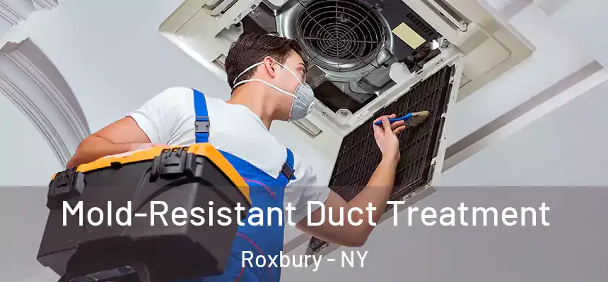 Mold-Resistant Duct Treatment Roxbury - NY