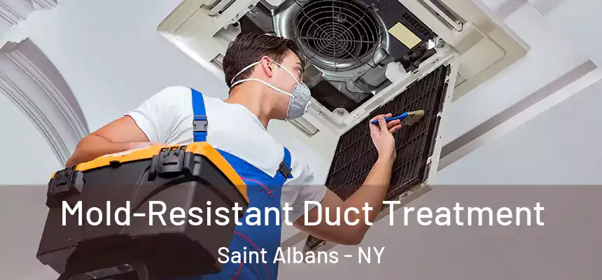 Mold-Resistant Duct Treatment Saint Albans - NY