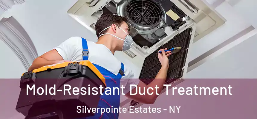 Mold-Resistant Duct Treatment Silverpointe Estates - NY
