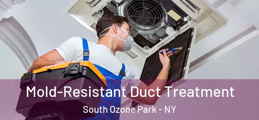  Mold-Resistant Duct Treatment South Ozone Park - NY