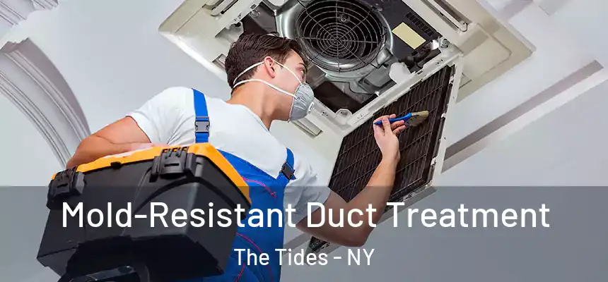 Mold-Resistant Duct Treatment The Tides - NY