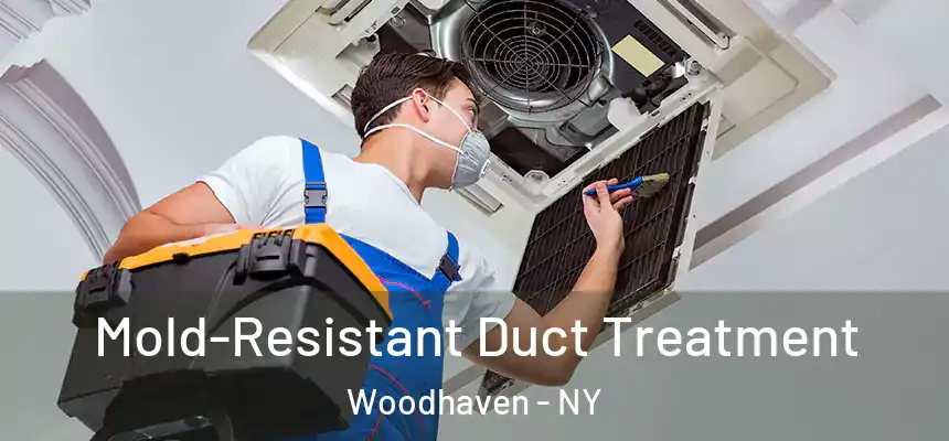 Mold-Resistant Duct Treatment Woodhaven - NY