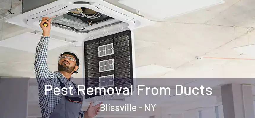  Pest Removal From Ducts Blissville - NY