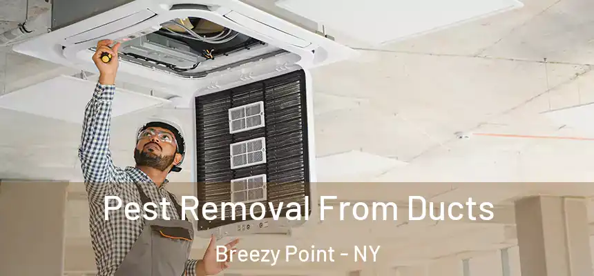 Pest Removal From Ducts Breezy Point - NY