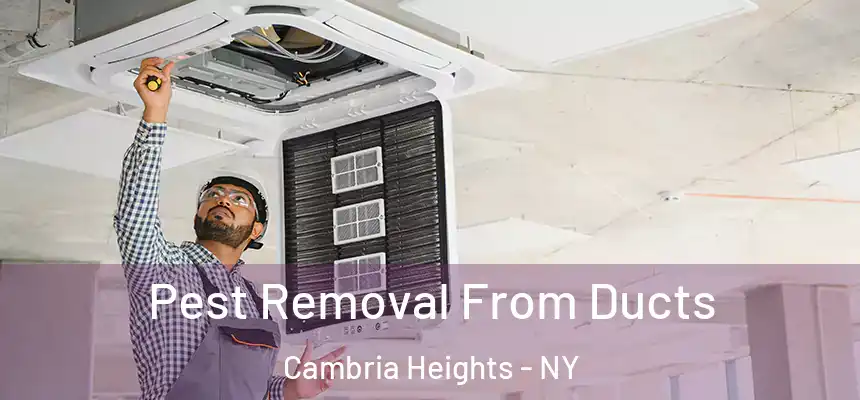  Pest Removal From Ducts Cambria Heights - NY