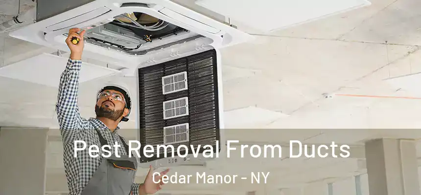 Pest Removal From Ducts Cedar Manor - NY