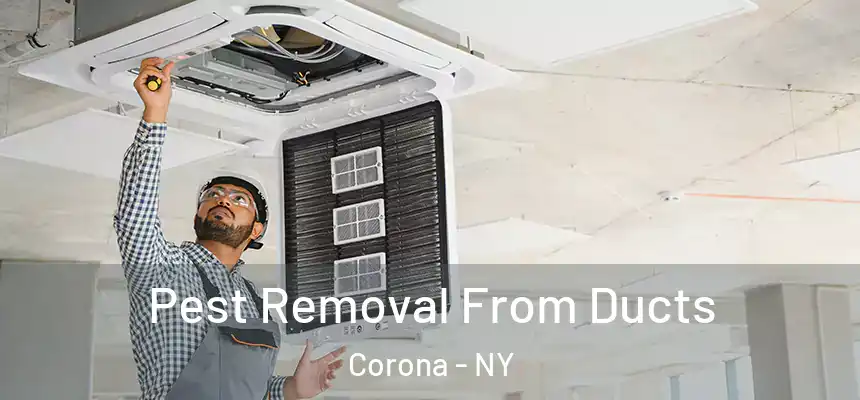 Pest Removal From Ducts Corona - NY