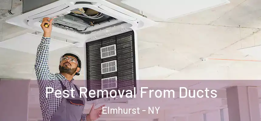 Pest Removal From Ducts Elmhurst - NY