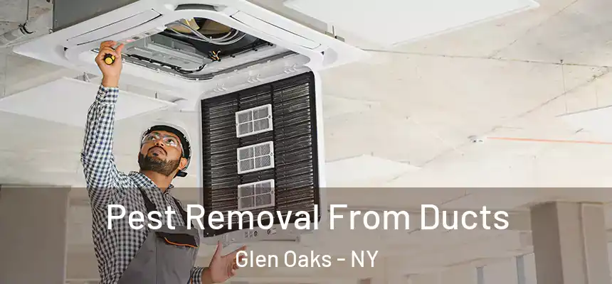 Pest Removal From Ducts Glen Oaks - NY