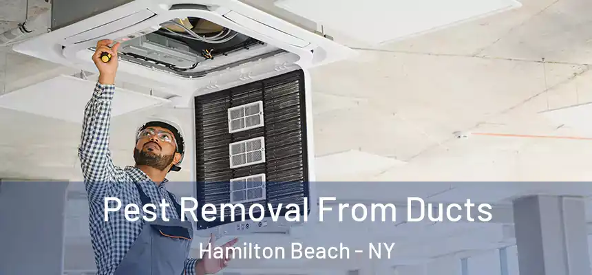 Pest Removal From Ducts Hamilton Beach - NY