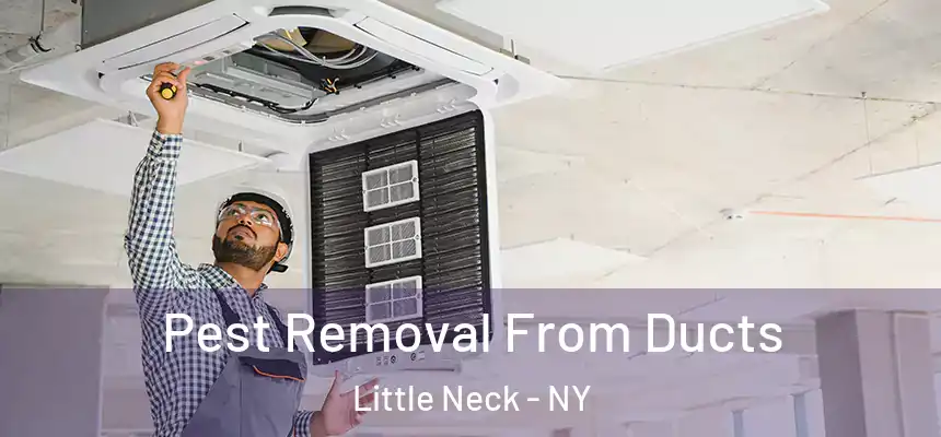  Pest Removal From Ducts Little Neck - NY