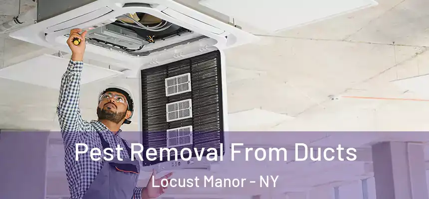  Pest Removal From Ducts Locust Manor - NY