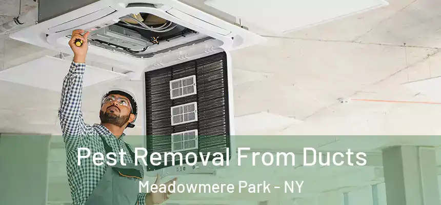 Pest Removal From Ducts Meadowmere Park - NY