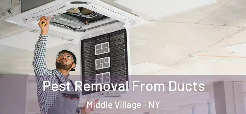  Pest Removal From Ducts Middle Village - NY