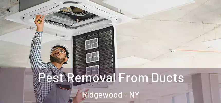 Pest Removal From Ducts Ridgewood - NY