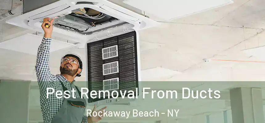 Pest Removal From Ducts Rockaway Beach - NY