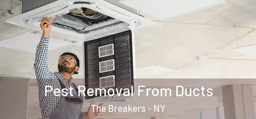 Pest Removal From Ducts The Breakers - NY