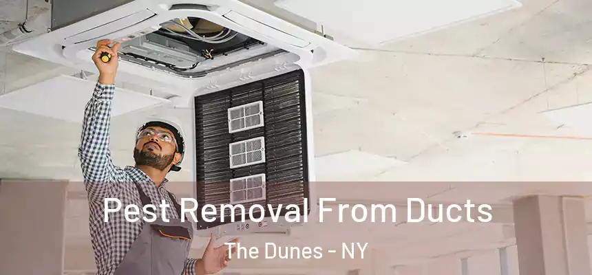  Pest Removal From Ducts The Dunes - NY