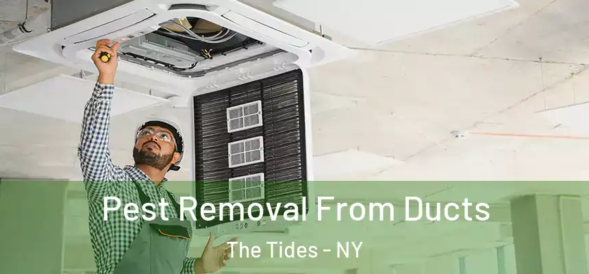  Pest Removal From Ducts The Tides - NY